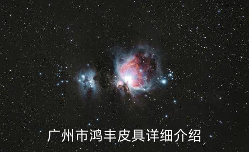 廣州市鴻豐皮具詳細(xì)介紹