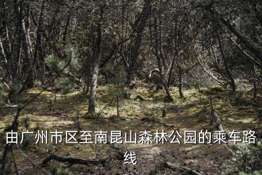 廣州去南昆山坐什么車，廣州怎么坐車到南昆山