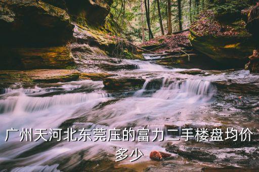 廣州富力壹號半島房價，廣州房產(chǎn)價格和我買房的時間