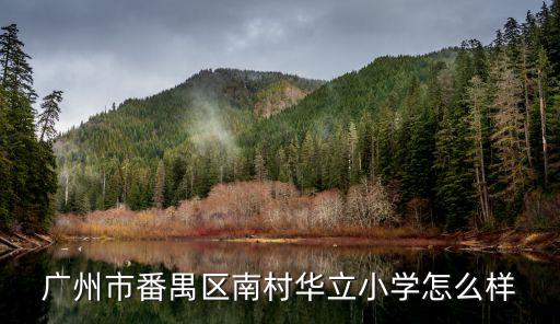 廣州市番禺區南村華立小學怎么樣