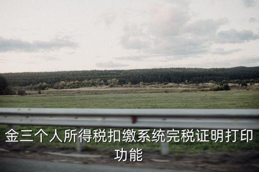 上海市稅務局金三系統，金稅三期服務系統