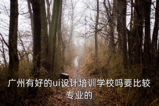 廣州正規ui培訓，廣州有好的ui設計培訓學校嗎要比較專業的