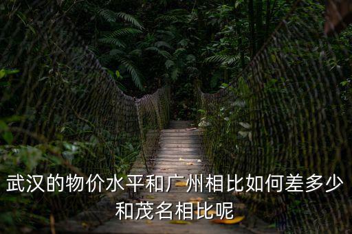 武漢的物價水平和廣州相比如何差多少和茂名相比呢