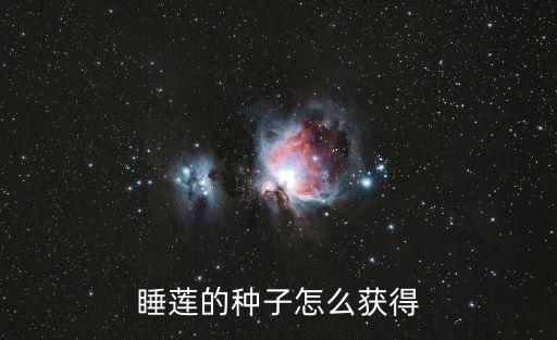 睡蓮的種子怎么獲得