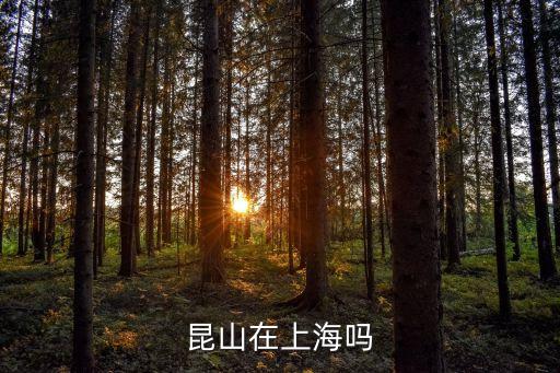 昆山不是上海市的么，昆山在上海嗎