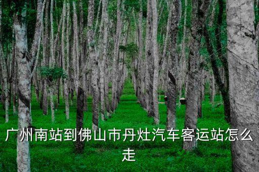 如何從廣州到丹灶客運站坐幾路車，從廣州去佛山丹灶客運站怎樣去
