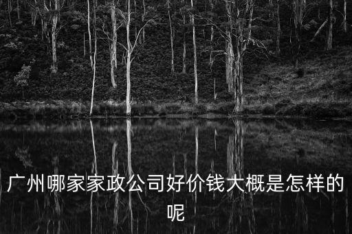 廣州和美家政公司，廣州哪個家政公司比較靠譜呢想幫媽媽找一份住家保姆的工作  搜