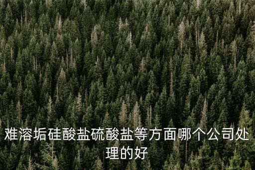 難溶垢硅酸鹽硫酸鹽等方面哪個公司處理的好
