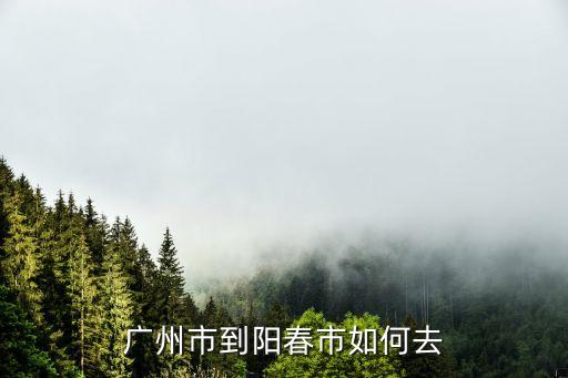 廣州到陽春市怎么走，廣州開車到陽春從廣州哪里上廣佛高速走哪條路