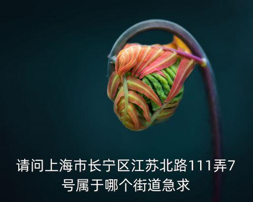 上海市江蘇北路是什么區(qū)，上海市江蘇北路85號屬那個(gè)區(qū)