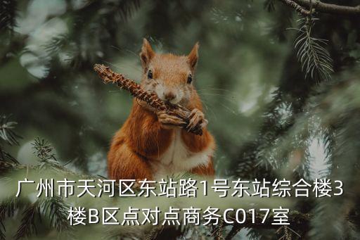 廣州市天河區東站路1號東站綜合樓3樓B區點對點商務C017室