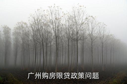 廣州限貸最新政策2021，你好我問的是廣州的限貸政策就是說在什么樣的情況下可以貸