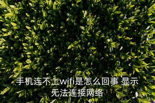手機連不上wifi是怎么回事 顯示無法連接網絡