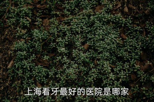 上?？囱雷詈玫尼t院是哪家