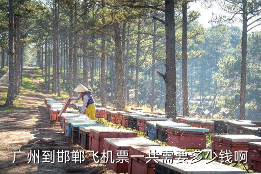 廣州到邯鄲后天飛機票，廣州到邯鄲飛機票一共需要多少錢啊