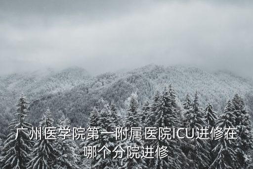 廣州醫學院第一附屬醫院ICU進修在哪個分院進修