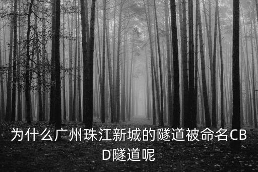 為什么廣州珠江新城的隧道被命名CBD隧道呢