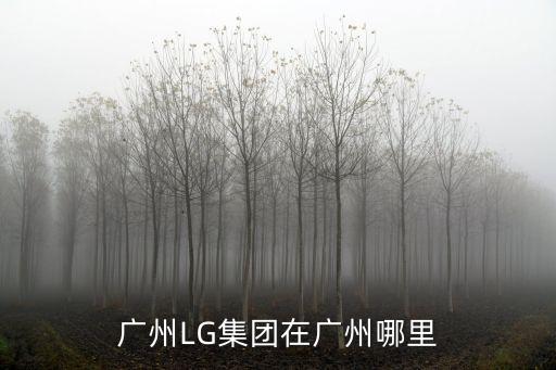 廣州LG集團在廣州哪里