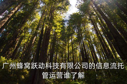 廣州馬蜂窩科技有限公司，廣州蜂窩躍動(dòng)科技有限公司的信息流托管運(yùn)營(yíng)誰(shuí)了解