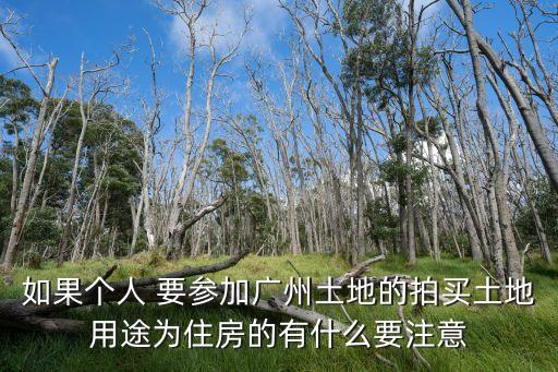 廣州數(shù)博大道土地拍賣，如果個(gè)人要參加廣州土地的拍買土地用途為住房的有什么要注意的謝謝