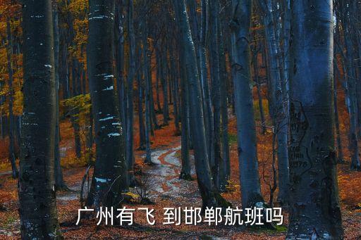 廣州飛邯鄲航班幾號航站樓，廣州到邯鄲L44 幾點到站 5號