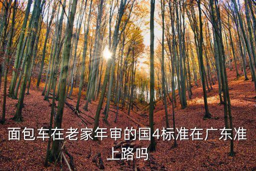 廣州國四通行規定，廣州什么時候限國4