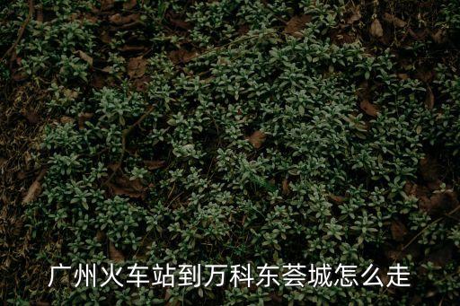廣州火車站到萬科東薈城怎么走