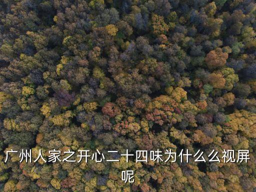 廣州人家之開心二十四味為什么么視屏呢