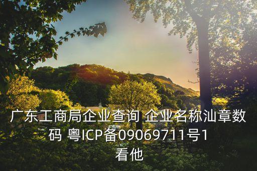 廣東工商局企業查詢 企業名稱汕章數碼 粵ICP備09069711號1 看他