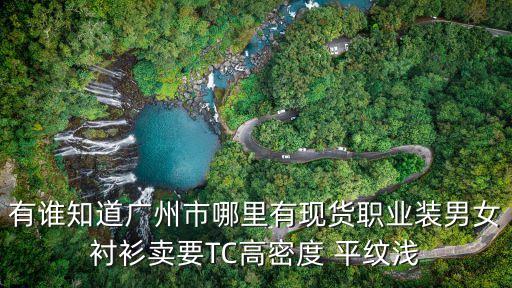 廣州男女襯衫，G2000男女襯衫職業裝廣州有沒有賣最好是能夠訂購