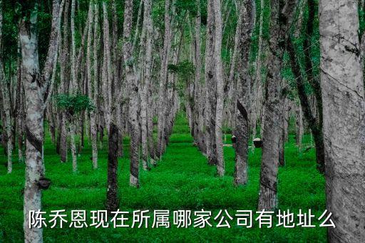 陳喬恩現在所屬哪家公司有地址么
