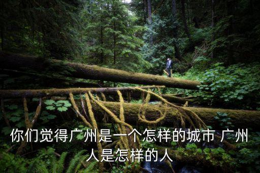 你們覺得廣州是一個怎樣的城市 廣州人是怎樣的人
