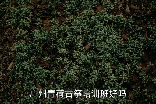 廣州青荷古箏培訓班好嗎