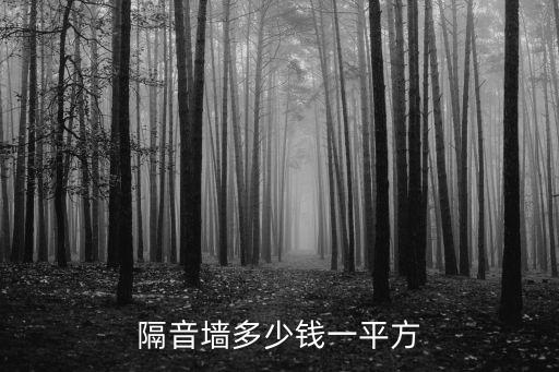 隔音墻多少錢一平方