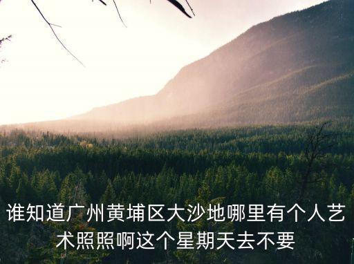 廣州黃埔區(qū)迪佳數(shù)碼影樓，地址 廣州黃埔區(qū)大沙地工業(yè)區(qū)豐樂路91號 這兒是干什么的有沒有網(wǎng)
