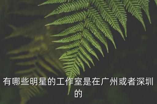 有哪些明星的工作室是在廣州或者深圳的