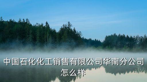 廣州分公司華南經理部，伊利的廣州分公司與華南大區大區辦什么關系