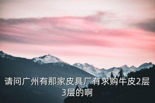 請問廣州有那家皮具廠有求購牛皮2層3層的啊