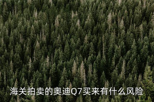 海關(guān)拍賣的奧迪Q7買來有什么風(fēng)險