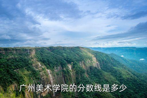 廣州美院染織藝術設計錄取分數線，廣州美術學院2009分數線
