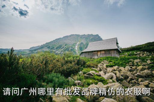 廣州哪里拿仿牌的衣服，請問廣州哪里有批發品牌精仿的衣服啊