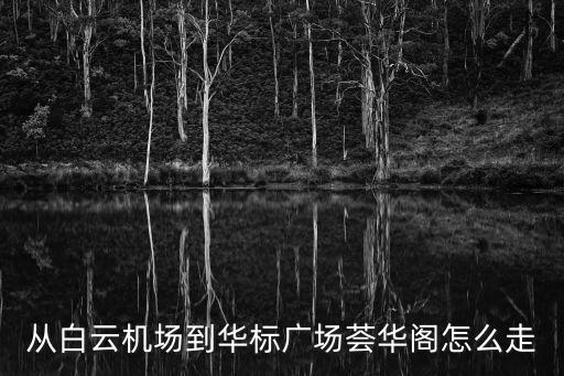 從白云機場到華標廣場薈華閣怎么走