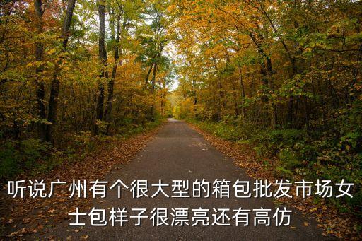 聽(tīng)說(shuō)廣州有個(gè)很大型的箱包批發(fā)市場(chǎng)女士包樣子很漂亮還有高仿