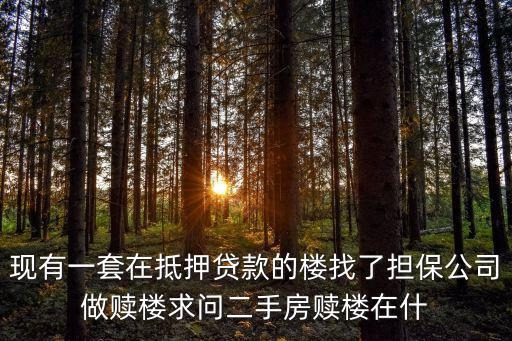 現有一套在抵押貸款的樓找了擔保公司做贖樓求問二手房贖樓在什