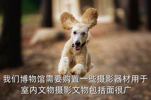 廣州文物拍攝設備，我們博物館需要購置一些攝影器材用于 室內文物攝影文物包括面很廣