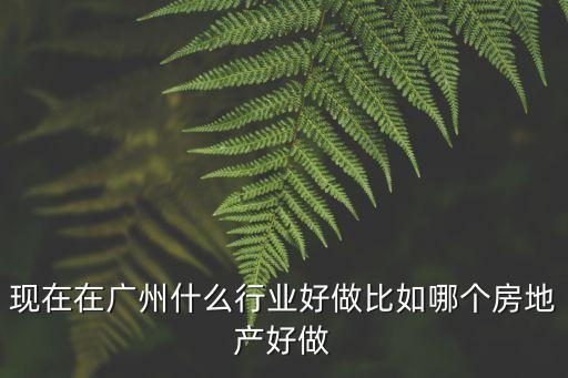 現在在廣州什么行業好做比如哪個房地產好做