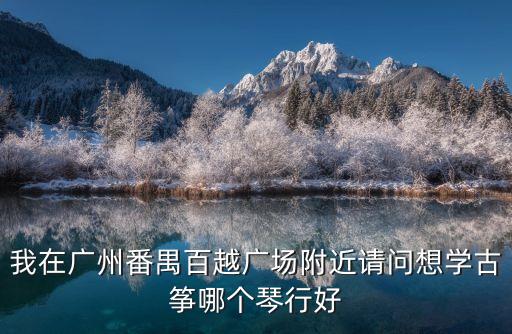 我在廣州番禺百越廣場附近請問想學古箏哪個琴行好