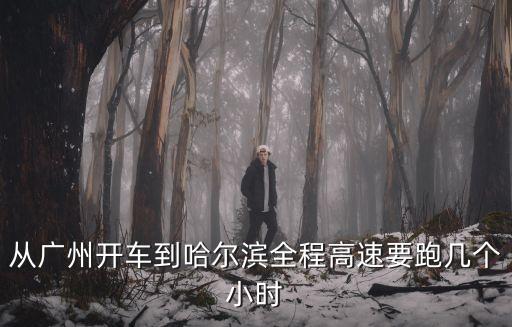從廣州開車到哈爾濱全程高速要跑幾個小時