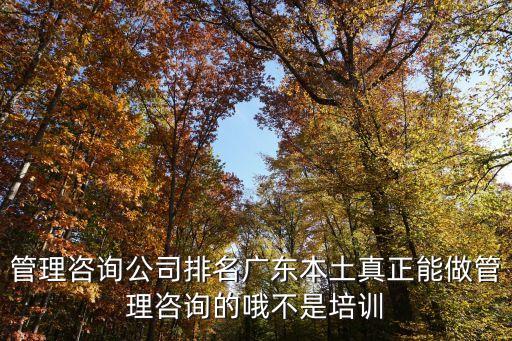 廣州市百事達(dá)管理顧問，廣州有什么 管理咨詢公司嗎