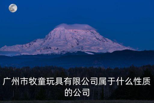 廣州市牧童玩具有限公司屬于什么性質的公司
